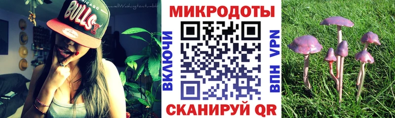 Галлюциногенные грибы GOLDEN TEACHER  MEGA ССЫЛКА  Юрьев-Польский 